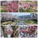 달산옥계유원지 이미지