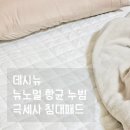 주식회사 뉴노멀소프트 | 데시뉴 극세사패드로 겨울 준비 완료, 바닥에서도 포근한 겨울침대패드 후기