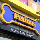 펫인어스