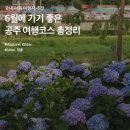 너울푸드 이미지