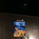 고사리맨션이 이미지