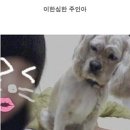 쓰담 이미지