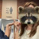 남사스포츠센터- 새벽수영 평영반 1일차 후기(수강신청 성공)
