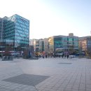 브라운 도트 이미지