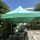 금산삼계탕 | [효자동 맛집] 경상북도 인정 으뜸 음식점 <금산삼계탕> 내돈내산 솔직 후기