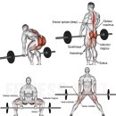 리프트짐 이미지