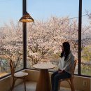 GS25 합동점 | [25.04] 벚꽃엔딩🌸