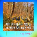 영훈고등학교 | 제천 송학산 소악사지마애각자 문화재 돌봄 보수 작업 60대 근로자 1t 바위에 깔려 사망 사고 원인