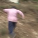 퍼팩트주짓수 이미지