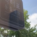 닥터표동물병원