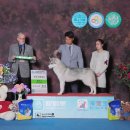 맥스켄넬 이미지