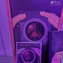 킹덤호스텔 이미지