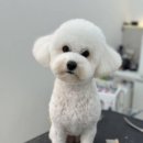 둥글리다
