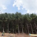 감악산힐링파크주차장 이미지