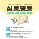 심쿵멍쿵 이미지