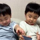 둥이네베베 네이버블로그