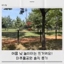 인천 미추홀공원 아이와 다녀온 후기｜웨건 가능, 피크닉하기 좋은 공원