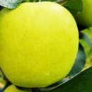 우주농장2 이미지