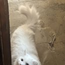 오임오임 | 손이시려워 꽁