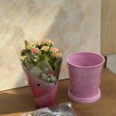 영천시종합사회복지관 | [화분심기키트]봄꽃심기 키트 칼란디바 DIY화분 영천시종합사회복지관