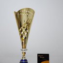 도전해동검도 공도관 | 🏆해동검도 전북총본관 부천 검무예 전국대회 우승‼️🏆