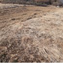 신니면사무소 이미지