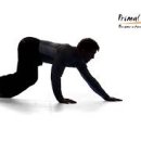 옵티멀 무브 이미지