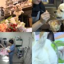 허브동물병원 이미지