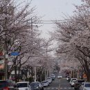 국도 세탁소 이미지