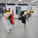 매화태권도