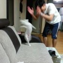 부평대로36번길 이미지