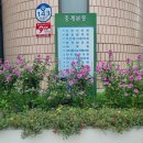 중계본동주민센터 이미지