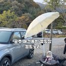 묵은저수지 | [공주 애견동반 캠핑장 캠핑노리] 조용한 저수지 뷰와 함께한 2박 3일 캠핑 후기 🏕️