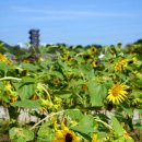 생태체험학습장 관리동 화장실 이미지