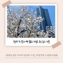 (주)다온 미디어 이미지