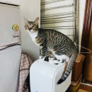 뚠뚜니횟집 이미지