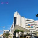 실속코스 | 일본 오키나와 북부 투어 여행코스 실속 버스투어 후기