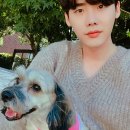 잘생김