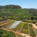 행정사사무소 좋은이웃 이미지