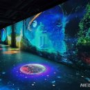 나래 카카오 검색결과