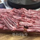 한우야놀자 이미지