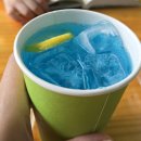 (주)커피지아 | 이야기]부산 9살 아이랑 주말 데이트: 디저트 맛집이자 토끼 먹이주기 가능한 '설지아 카페' 솔직 후기:)