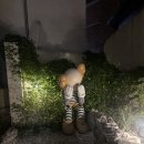 쿠히치연남점 | [연남동/이자카야] 쿠히치 연남점 후기 (규카츠·후토마끼·새우튀김우동·하이볼)