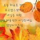 메디하이