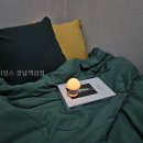 메종레지던스 | 메종레지던스 강남역삼점 가봤더니 의외로 괜찮았던