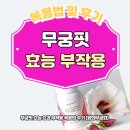 무궁핏 효능 효과 부작용 복용법 후기 (평화무궁화)