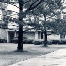 조던농장 이미지