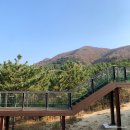 대청도여행 1박2일 여행코스 및 후기