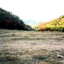 창원 봉림사지 이미지