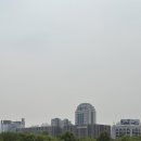 조준 동작구 임장 후기 | 노량진, 흑석, 사당 외